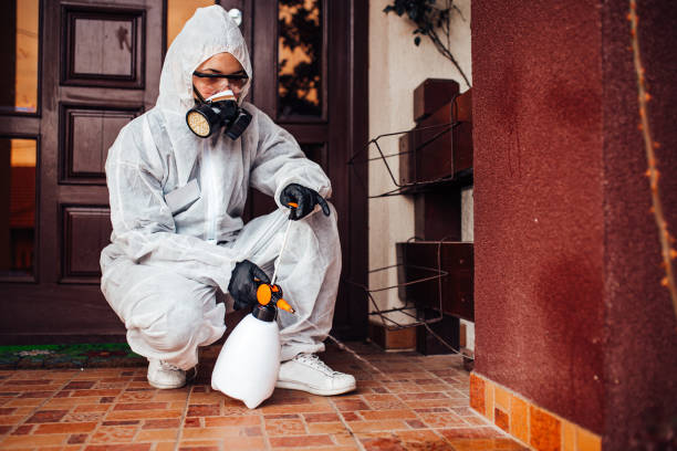 Attic and Crawl Space Rodent Treatment in Waterloo