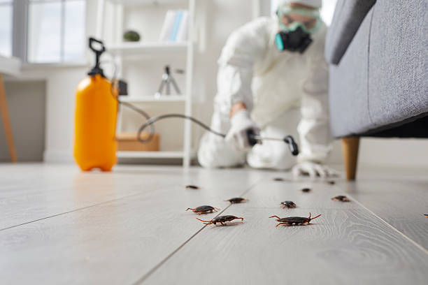 Commercial Rodent Management in Waterloo